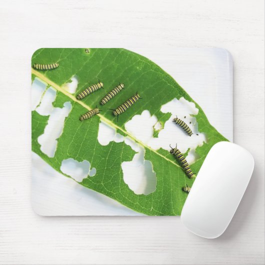 Mouse Pad Hungerfestungen Raupen Mousepad (Mit Mouse)