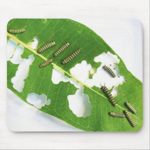 Mouse Pad Hungermonarchie Raupen Mousepad