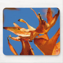 Mouse Pad im Herbst