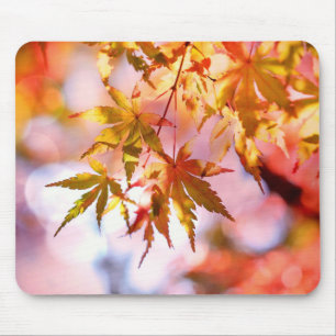 Mouse Pad im Herbst Mousepad