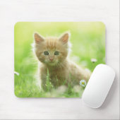Mouse Pad-Kitten Mousepad (Mit Mouse)