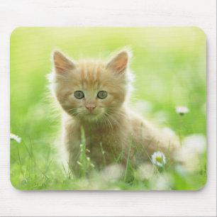 Mouse Pad-Kitten Mousepad