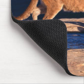Mouse Pad-Mountain Lion & Cubs Mousepad (Ecke)