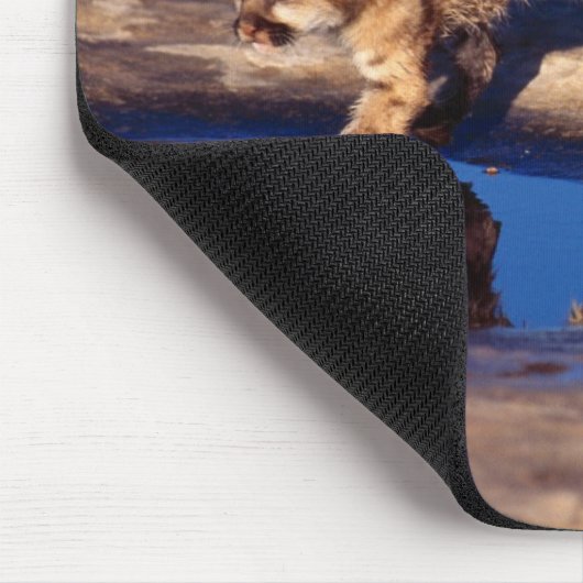 Mouse Pad-Mountain Lion Cubs Mousepad (Ecke)