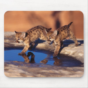 Mouse Pad-Mountain Lion Cubs Mousepad