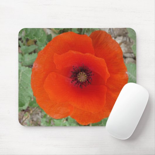 Mouse Pad. Poppy ,(Mohn) Mousepad (Mit Mouse)
