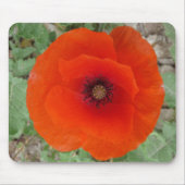 Mouse Pad. Poppy ,(Mohn) Mousepad (Vorne)