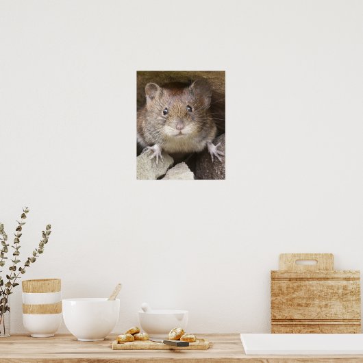 Mouse Portrait Poster (Küche)