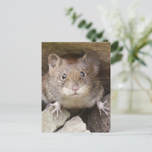 Mouse Portrait Postkarte (Stehend Vorderseite)