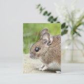 Mouse-Profil Postkarte (Stehend Vorderseite)