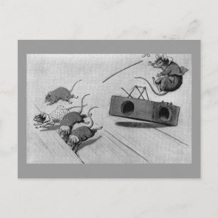 Mouse Safely Springs Mousetrap Postkarte