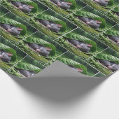 Mouse schlafen in grünem Leaf Geschenkpapier (Ecke)