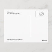 Mousehole Postkarte (Rückseite)