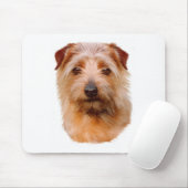 Mousemat: Hund Norfolks Terrier Mousepad (Mit Mouse)