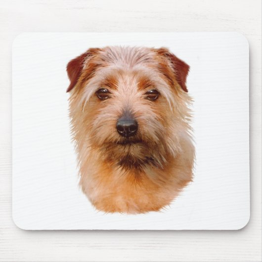 Mousemat: Hund Norfolks Terrier Mousepad (Vorne)