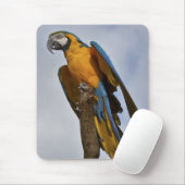 Mousemat Mousepad (Mit Mouse)