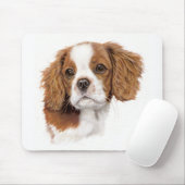 Mousemat: Unbekümmerter König Charles Spaniel Mousepad (Mit Mouse)