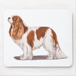 Mousemat: unbekümmerter König Charles Spaniel Mousepad