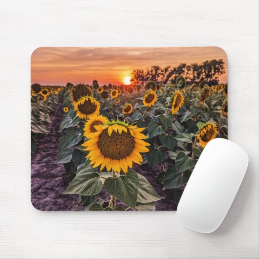 Mousepad (Mit Mouse)