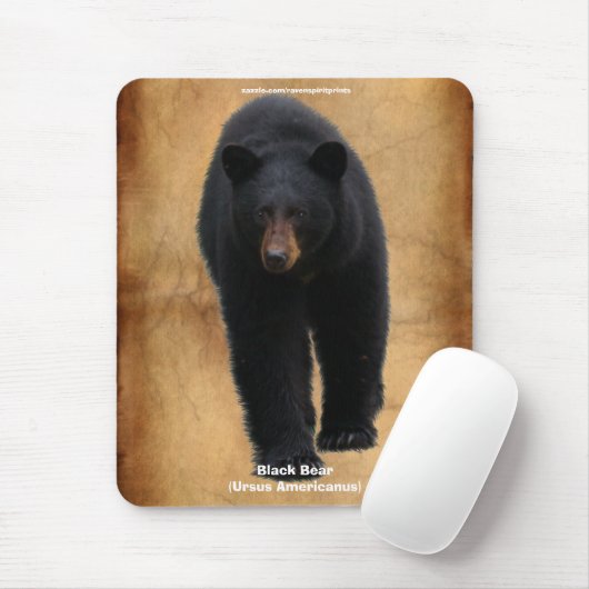Mousepad (Mit Mouse)