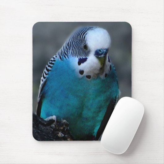 Mousepad (Mit Mouse)