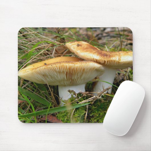 Mousepad (Mit Mouse)