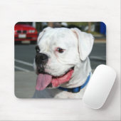 Mousepad (Mit Mouse)