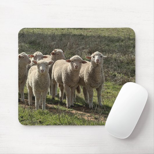 Mousepad (Mit Mouse)