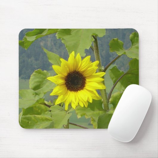 MOUSEPAD (Mit Mouse)