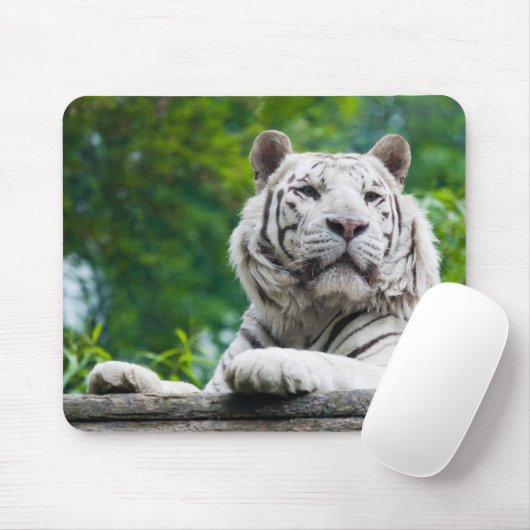 Mousepad (Mit Mouse)