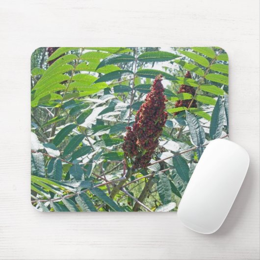 Mousepad (Mit Mouse)