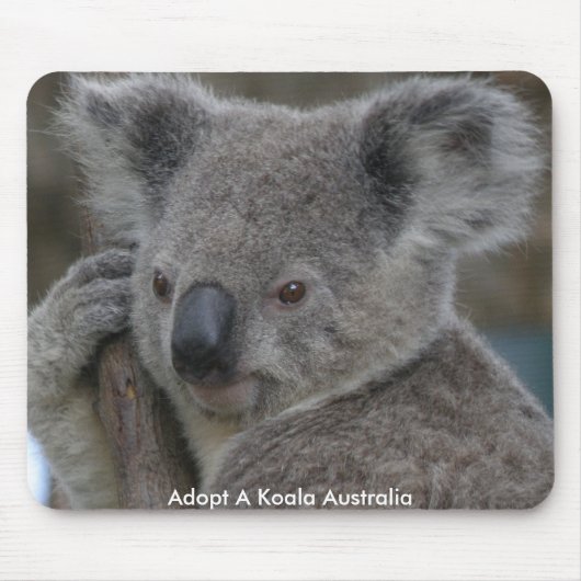 Mousepad Adoptierte A Koala Australien (Vorne)