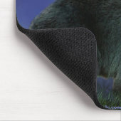 Mousepad als Fördererin der Schwarzbären (Ecke)