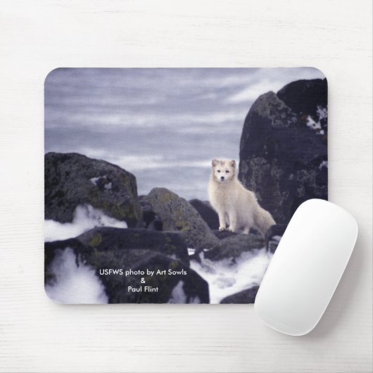 Mousepad/arktischer Fox Mousepad (Mit Mouse)