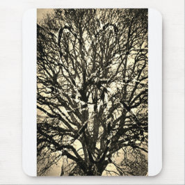 Mousepad árvore vibrante 