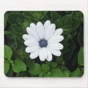 Mousepad aus weißer Blume