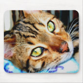 Mousepad bengalische Katze (Vorne)