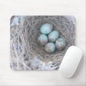 Mousepad Bird's Nest mit Eierfotografie (Mit Mouse)