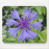Mousepad Blaue Kornblume (Vorne)