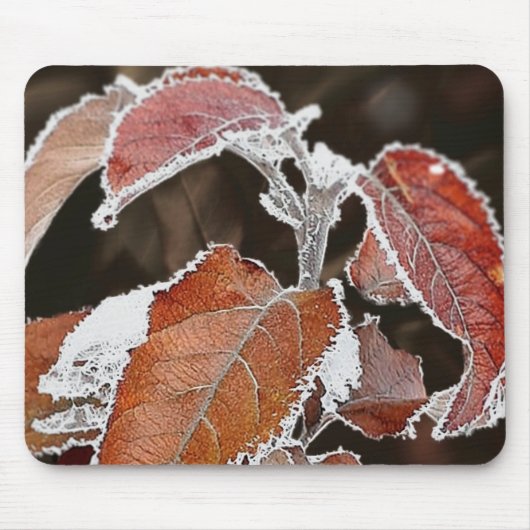Mousepad Brown Frozen-Blätter (Vorne)