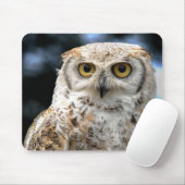 Mousepad Canadian Owl (Mit Mouse)