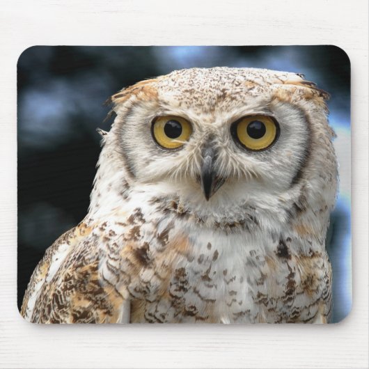 Mousepad Canadian Owl (Vorne)