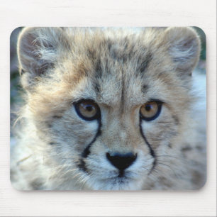 Mousepad-cheetah-cub10x10 Mousepad