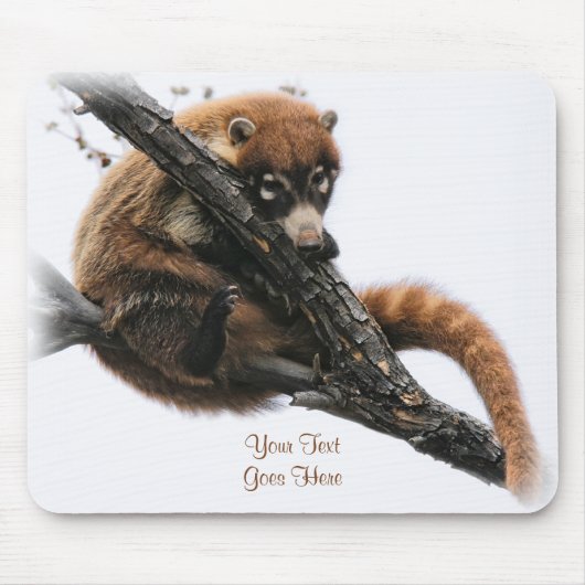 Mousepad: Coatimundi #5 Mousepad (Vorne)