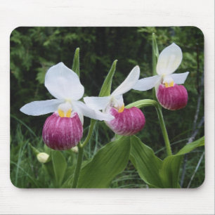 Mousepad-Dame Pantoffel Orchideen Mousepad