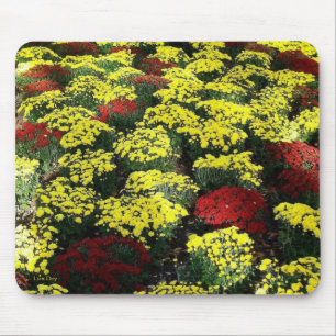 "Mousepad der Blume im Herbst Mousepad