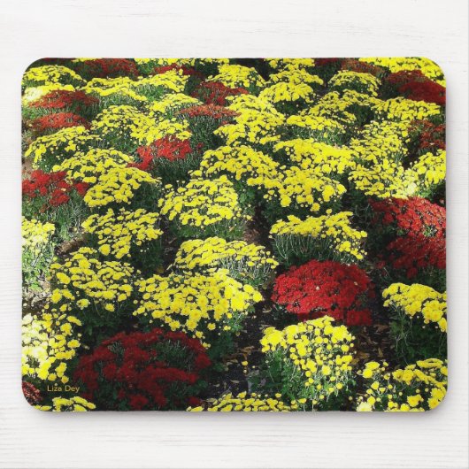 "Mousepad der Blume im Herbst Mousepad (Vorne)
