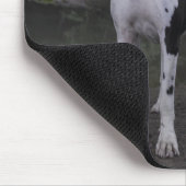 Mousepad Dogge Ares (Ecke)
