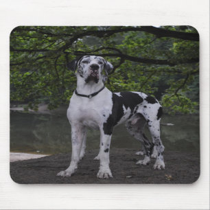 Mousepad Dogge Ares