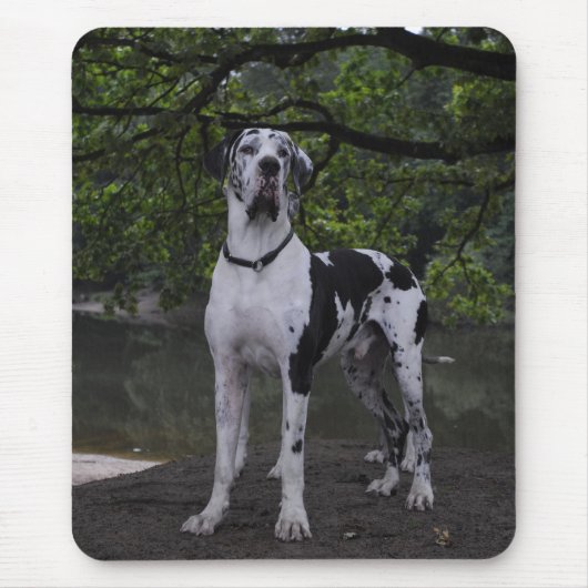 Mousepad Dogge Ares (Vorne)